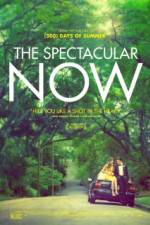 Watch The Spectacular Now Watch123movies