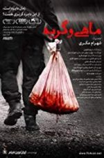 Watch Fish & Cat Watch123movies