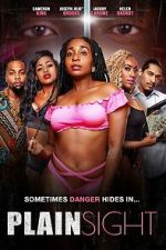 Watch Plain Sight Watch123movies