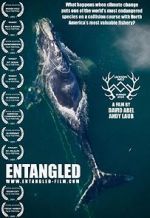 Watch Entangled: The Race to Save Right Whales from Extinction Watch123movies