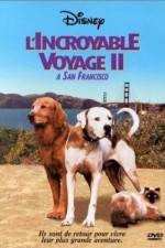 Watch Homeward Bound II Lost in San Francisco Watch123movies
