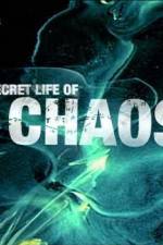 Watch The Secret Life of Chaos Watch123movies