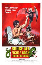 Watch Bruce Lee Fights Back from the Grave Watch123movies