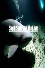 Watch National Geographic Wild Sixgill Shark Into The Abyss Watch123movies