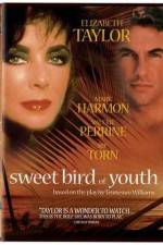 Watch Sweet Bird of Youth Watch123movies