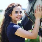 Watch Wildfire: The Legend of the Cherokee Ghost Horse Watch123movies