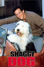 Watch The Shaggy Dog Watch123movies
