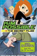 Watch "Kim Possible" Attack of the Killer Bebes Watch123movies