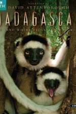 Watch Madagascar Island of Marvels Watch123movies