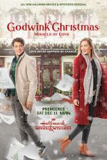 Watch A Godwink Christmas: Miracle of Love Watch123movies