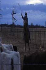 Watch Cowboy Christmas Watch123movies