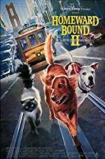Watch Homeward Bound II: Lost in San Francisco Watch123movies