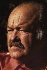 Watch The Return of Frank Cannon Watch123movies