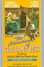 Watch Adventures of Gallant Bess Watch123movies