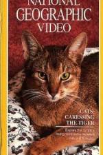 Watch Cats Caressing the Tiger Watch123movies