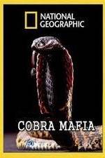 Watch National Geographic Cobra Mafia Watch123movies