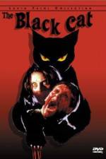 Watch Black Cat Watch123movies