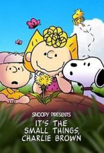 Watch Snoopy Presents: It's the Small Things, Charlie Brown (TV Special 2022) Watch123movies