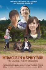 Watch Miracle in Kasama Watch123movies