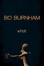 Watch Bo Burnham: what. Watch123movies