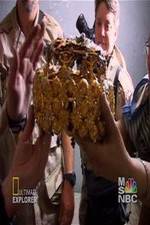 Watch Iraq's Lost Treasure Watch123movies