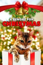 Watch A Bengal for Christmas Watch123movies