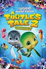 Watch A Turtle\'s Tale 2: Sammy\'s Escape from Paradise Watch123movies