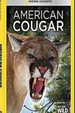 Watch National Geographic - American Cougar Watch123movies