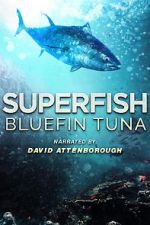 Watch Superfish Bluefin Tuna Watch123movies