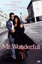 Watch Mr Wonderful Watch123movies