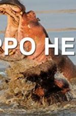 Watch Hippo Hell Watch123movies