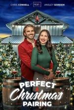 Watch A Perfect Christmas Pairing Watch123movies