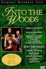 Watch Into the Woods Watch123movies