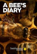 Watch A Bee\'s Diary (TV Special 2022) Watch123movies