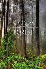 Watch National Geographic Kingdom of the Forest Watch123movies