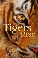 Watch Tigers on the Rise Watch123movies