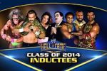 Watch WWE Hall of Fame Watch123movies