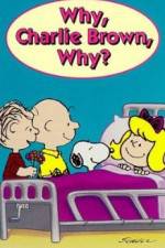 Watch Why Charlie Brown Why Watch123movies
