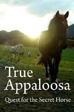 Watch True Appaloosa Watch123movies