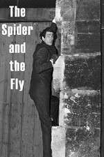 Watch The Spider and the Fly Watch123movies