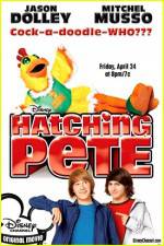 Watch Hatching Pete Watch123movies