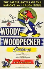 Watch The Woody Woodpecker Polka Watch123movies