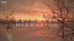 Watch All Aboard! The Great Reindeer Migration Watch123movies