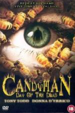 Watch Candyman: Day of the Dead Watch123movies