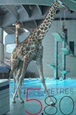 Watch 580 mètres Watch123movies