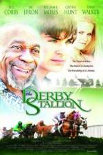 Watch The Derby Stallion Watch123movies