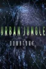 Watch National Geographic Wild Urban Jungle Downtown Watch123movies