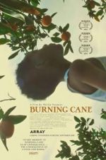 Watch Burning Cane Watch123movies