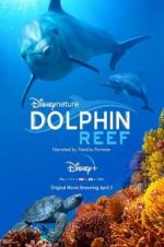 Watch Dolphin Reef Watch123movies