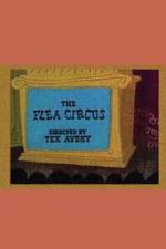Watch The Flea Circus Watch123movies